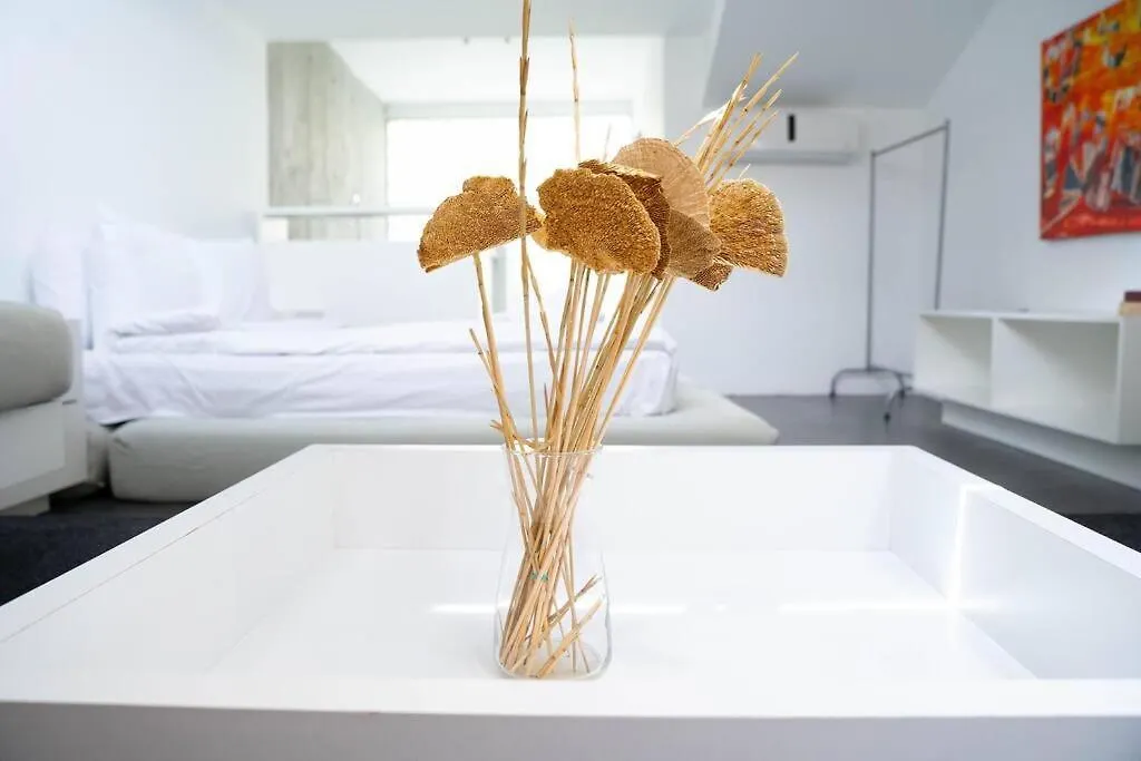 Cxzvsaewrntral Duplex House In Beyoglu Apartment Istanbul